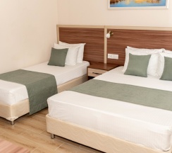 Трехместный Стандарт в Можжевеловый парк