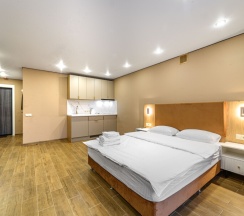 Де Люкс №39 в Портал Апартментс