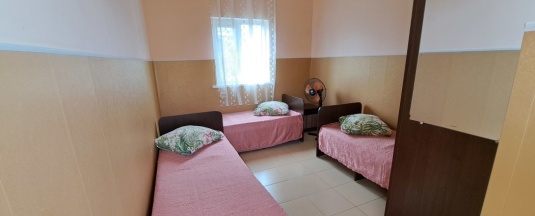 Эконом в Алиса