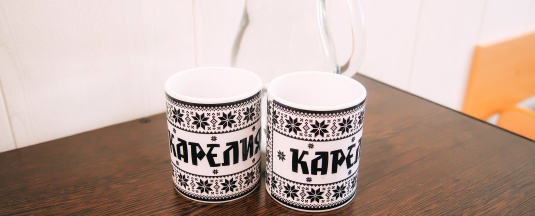 двухместный (без удобств) в Лососинская