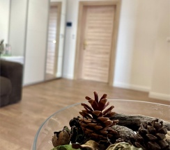 Двухкомнатный номер Люкс на трех-четырех гостей с балконом видом на море (корпус Б) в Оптимист