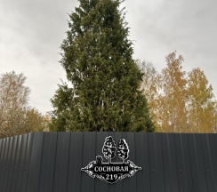 Коттедж улучшенный в fo.rest