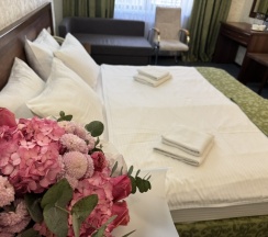 ДВУХМЕСТНЫЙ СТАНДАРТНЫЙ НОМЕР в Аврора