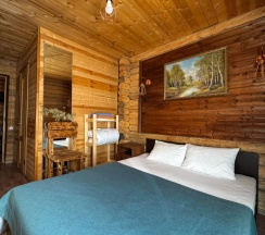 Номер комфорт с 1 двуспальной кроватью №1 в Душа гор