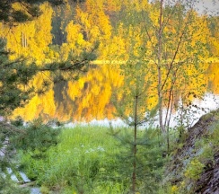 шатер глэмпинг в Форт Верный