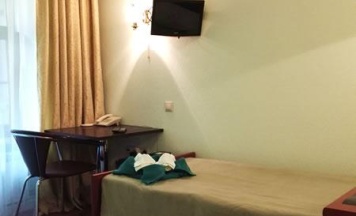1-местный номер стандарт в Travel