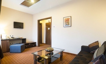 Одноместные апартаменты Business в Inter Business Bucharest Hotel