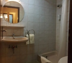 Двухместный номер Standard с балконом двуспальная кровать в Hotel Moselkern