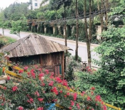 Двухместный люкс Deluxe 2 отдельные кровати в Saigonese Trekking House - Hostel
