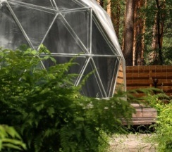 Купол в Royal Forest