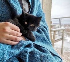 Номер с видом на Оку и с балконом в Гуляй-город