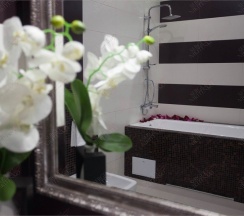 Полулюкс в City&business hotel