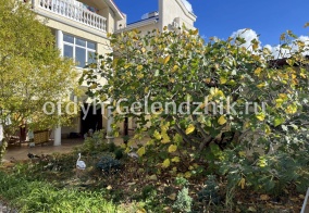 Апартаменты Апартаменты на Верхняя 26 в Геленджике