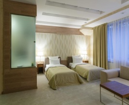 2-местный номер комфорт в Bliss Hotel & SPA