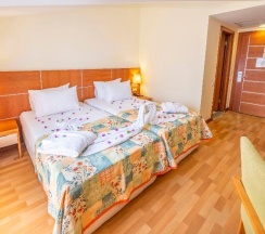 Двухместный номер Standard двуспальная кровать в Viking Park Hotel