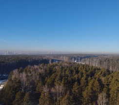 Квартира в Апартаменты на Светлый, 10