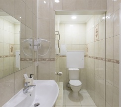 Премиум с Балконом в Александр Hotel