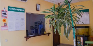 Солянка: Отель Шелковый путь