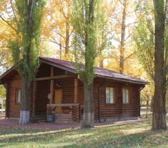 Сруб 9 в Пересвет