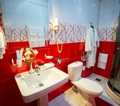 Люкс (LUXE, 304) в Велнесс