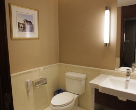 Полулюкс в SoLuxe Hotel Almaty