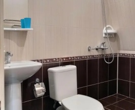 Четырёхместный люкс Мансарда в Аист