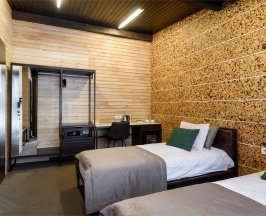 Стандарт Твин в Алтика