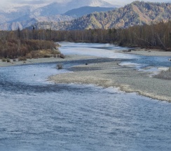 Четырёхместные апартаменты с 2 комнатами в Тихий берег