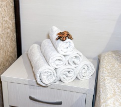 Трехместный делюкс в Милана