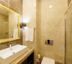 Стандарт 5 в Волга Премиум