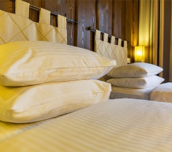 Стандартный двухместный  TWN ( с 2 раздельными кроватями) в Гладенькая