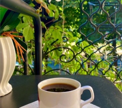 Делюкс с балконом в Пассаж