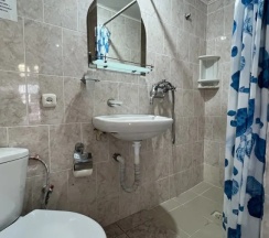 Двухместный номер Standard (двуспальная кровать) в Камелия