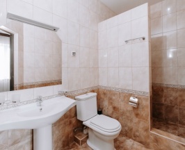 Стандарт с двуспальной кроватью или двумя односпальными с балконом в Монарх