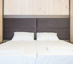 Двухместный стандарт с раздельными кроватями в Лотос