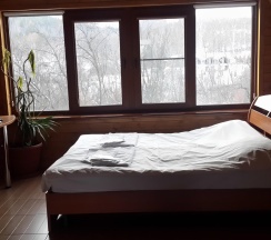 Бунгало стандарт с 2 односпальными кроватями (мансарда) в Еловое
