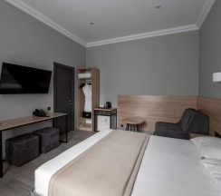 2-местный номер стандарт премиум в Xenia city hotel