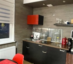 2-комнатный номер люкс (мансарда) в Берлога