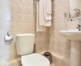 Номер стандарт с 1 двуспальной кроватью в Термы Плюс