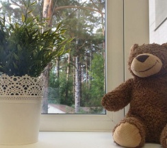 Кровать в общем номере в Плюшевый Мишка