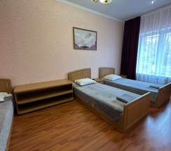 Трехкомнатный стандарт в Николаевский