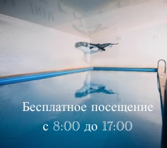 Четырехместный номер Студио в Крыжовник