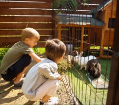 Garden-3 | Банный чан в Барские Поля