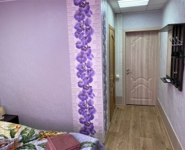 Стандарт в Лиза