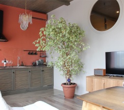 Апартаменты "Фриды Кало" на Теплосерной 21 в Лайм