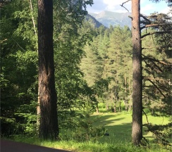 Шале 4. Четырёхместный номер комфорт с видом на горы в Белый волк