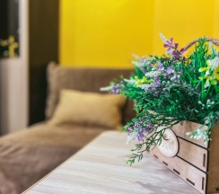 2-х местный супериор в Южный