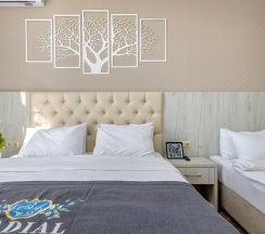 Трехместный комфорт в Владиаль