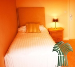 Одноместный номер Standard односпальная кровать в Beansheaf Hotel
