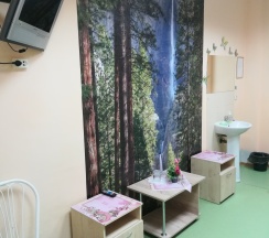 Стандартный семейный номер с 1 двуспальной и двухуровневой кроватью в Дачный